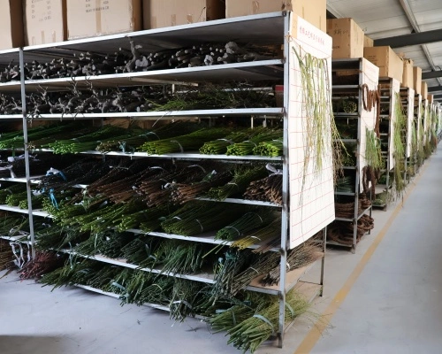 R&D Capabilities R&D Capabilities