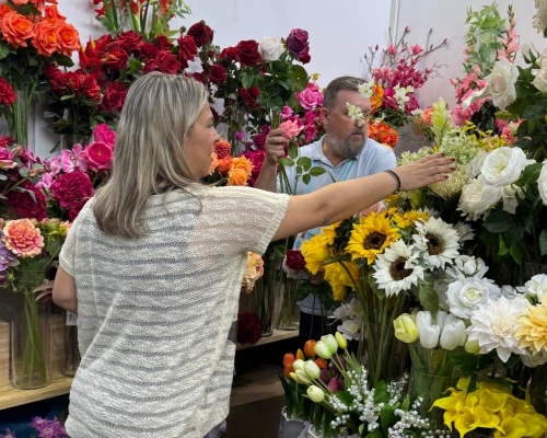 Our Clients