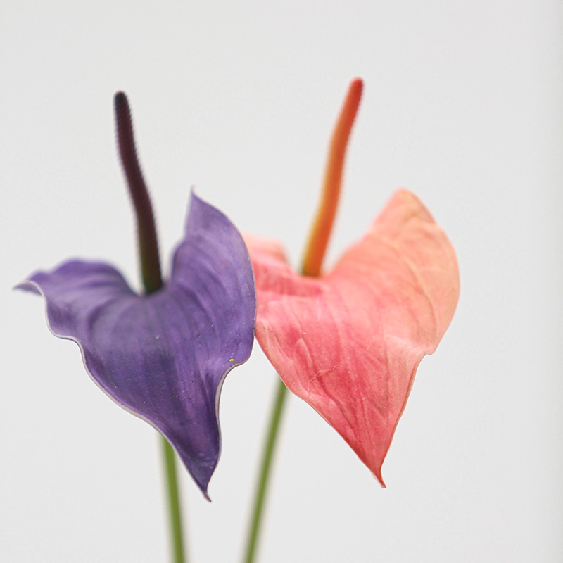 Artificial Anthurium Flowers