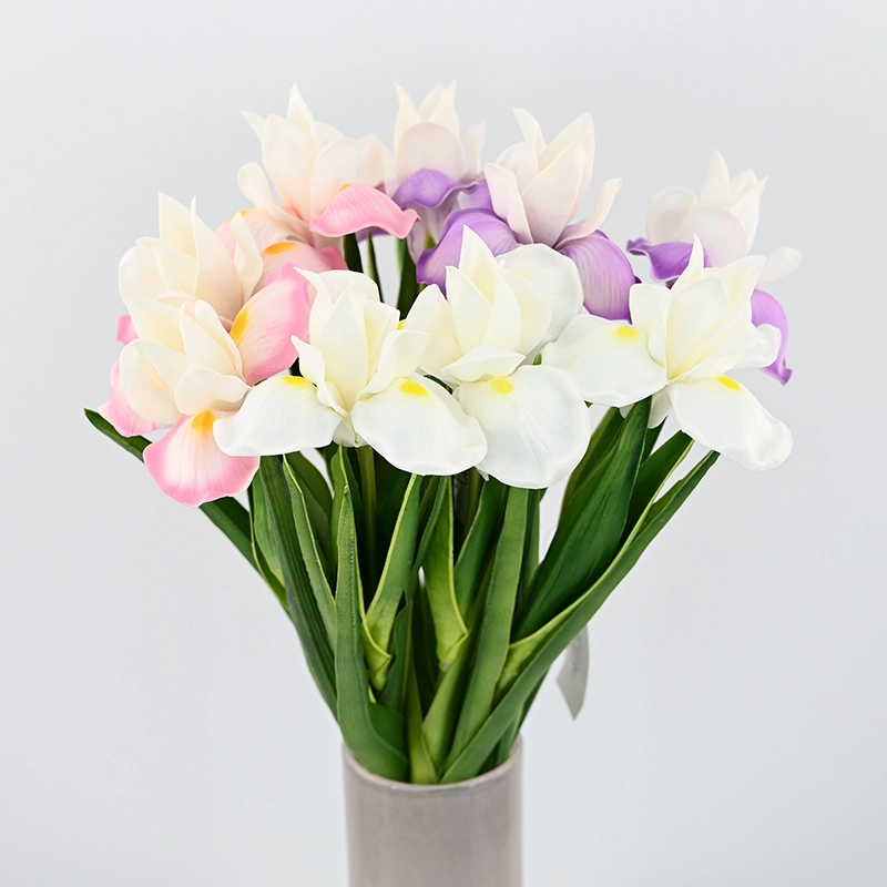 PU Small Iris