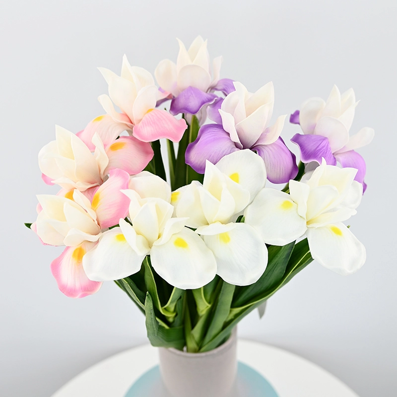 PU Small Iris