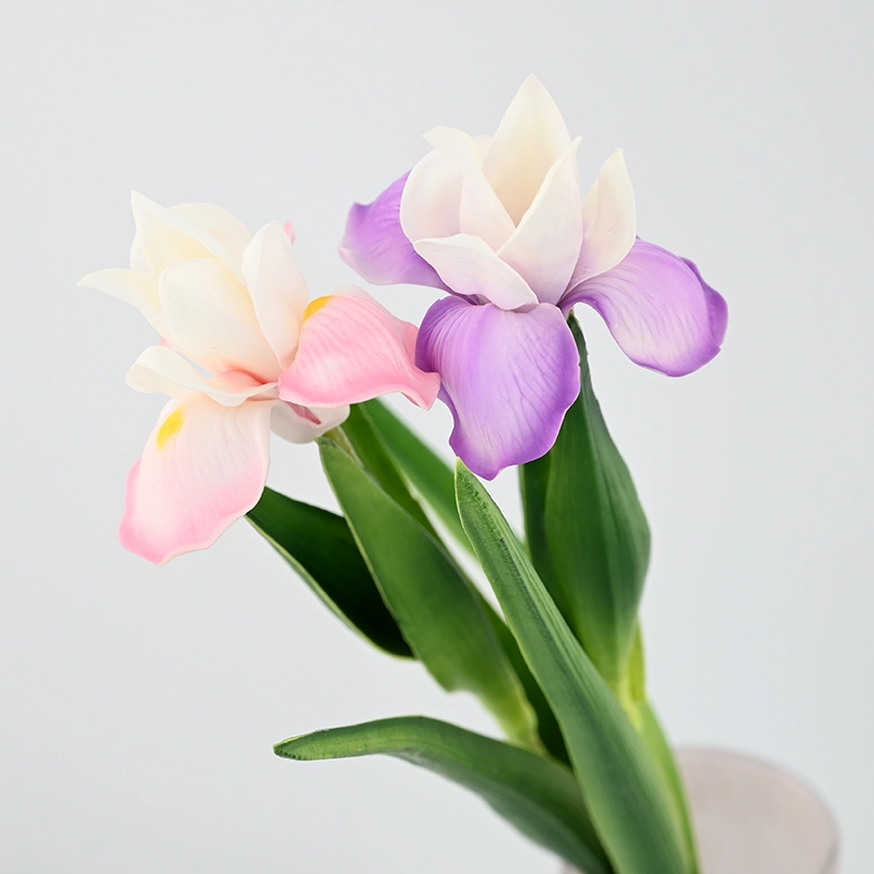 PU Small Iris