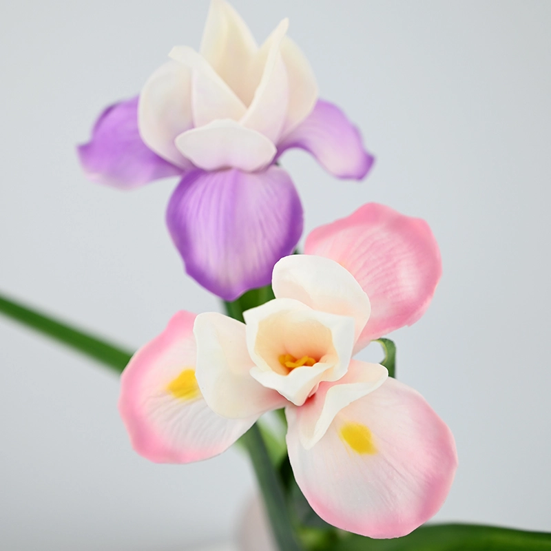 PU Small Iris PU Small Iris