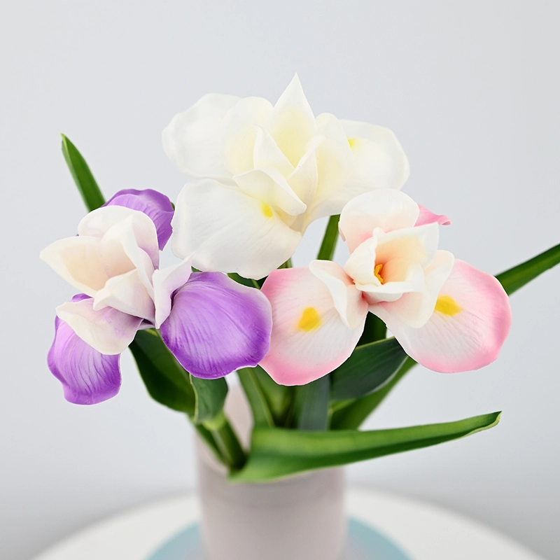 PU Small Iris