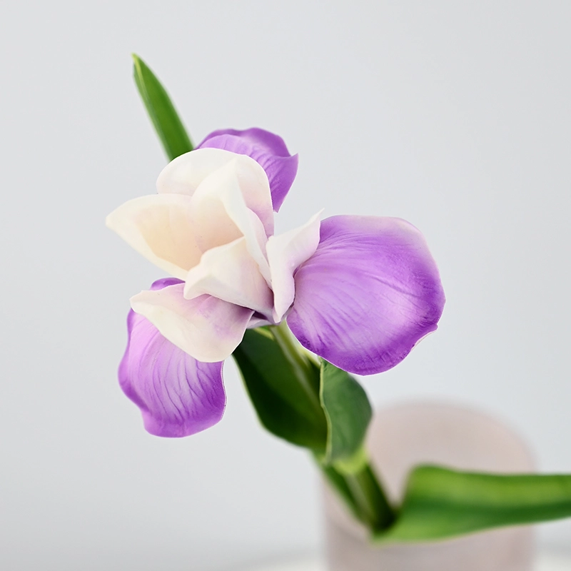 PU Small Iris