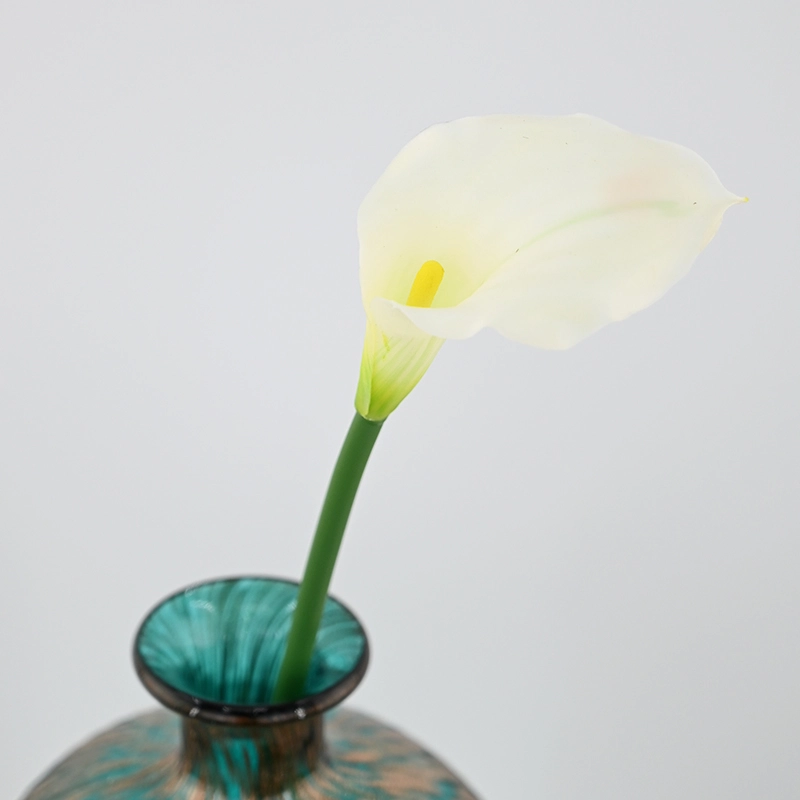 Mini Calla Lily
