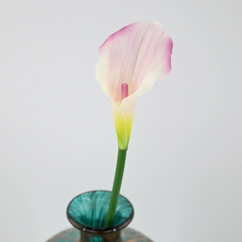Mini Calla Lily