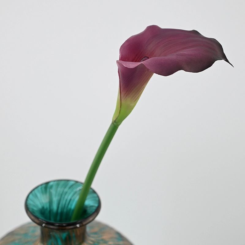 Mini Calla Lily