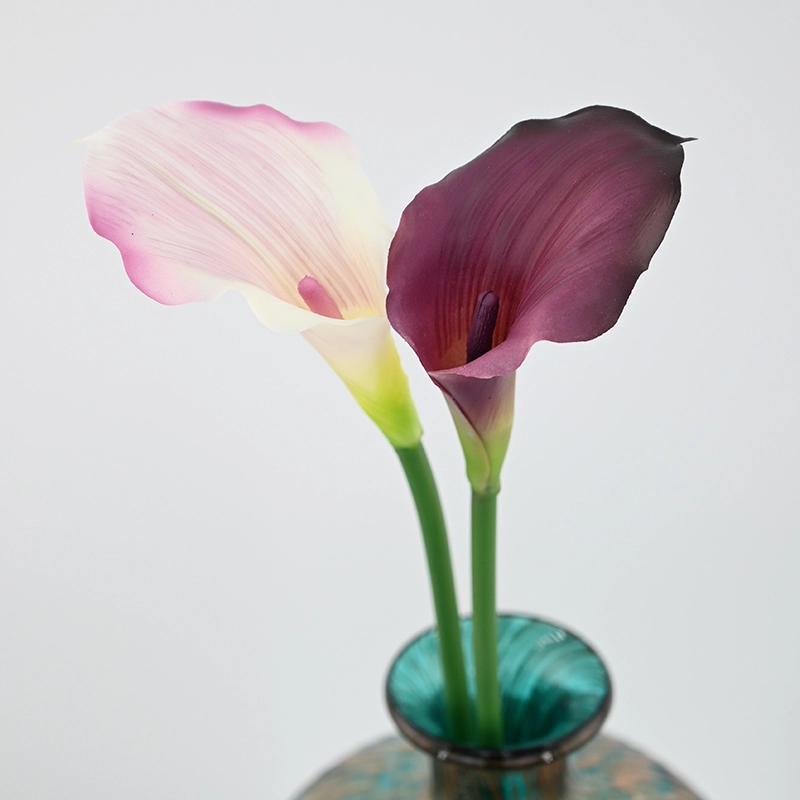 Mini Calla Lily Mini Calla Lily