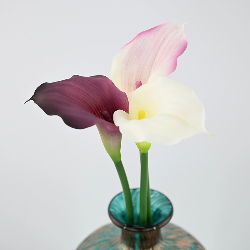 Mini Calla Lily