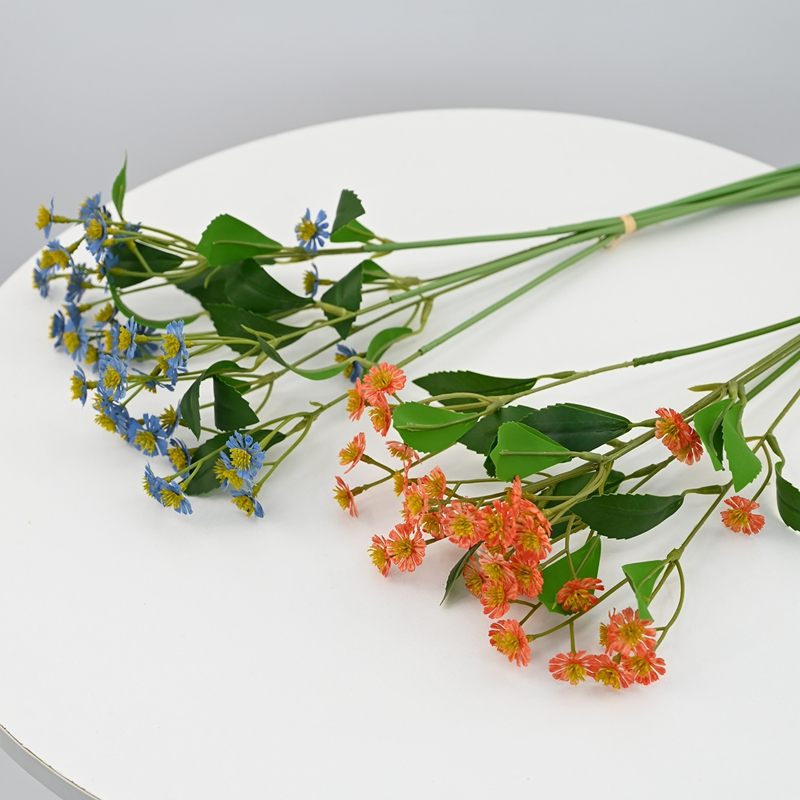 Chamomile Bouquet Chamomile Bouquet