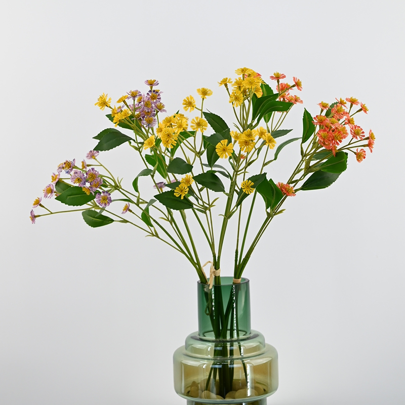 Chamomile Bouquet Chamomile Bouquet