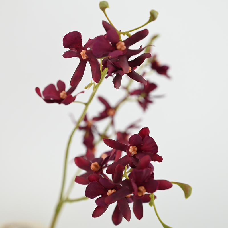 Artificial Oncidium Artificial Oncidium