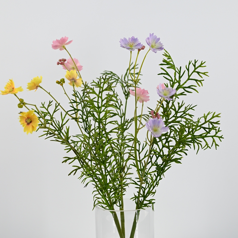beautiful cosmos flowers beautiful cosmos flowers