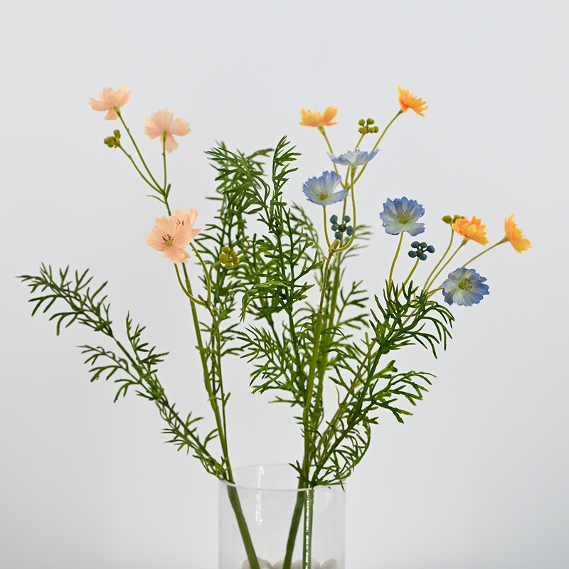 beautiful cosmos flowers beautiful cosmos flowers