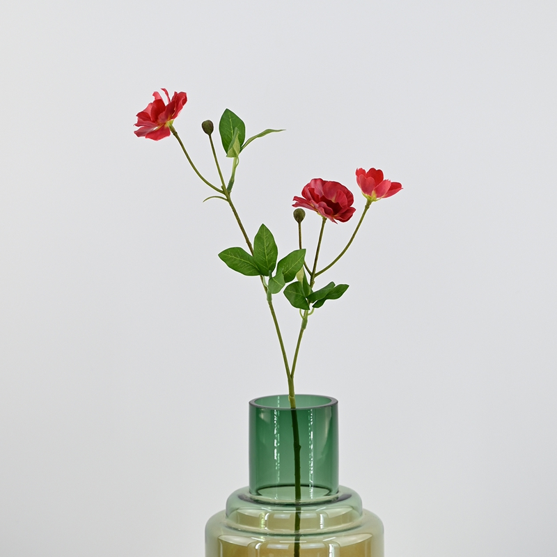 Butterfly Ranunculus