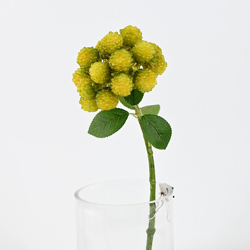 Multi-Headed Artificial Raspberry