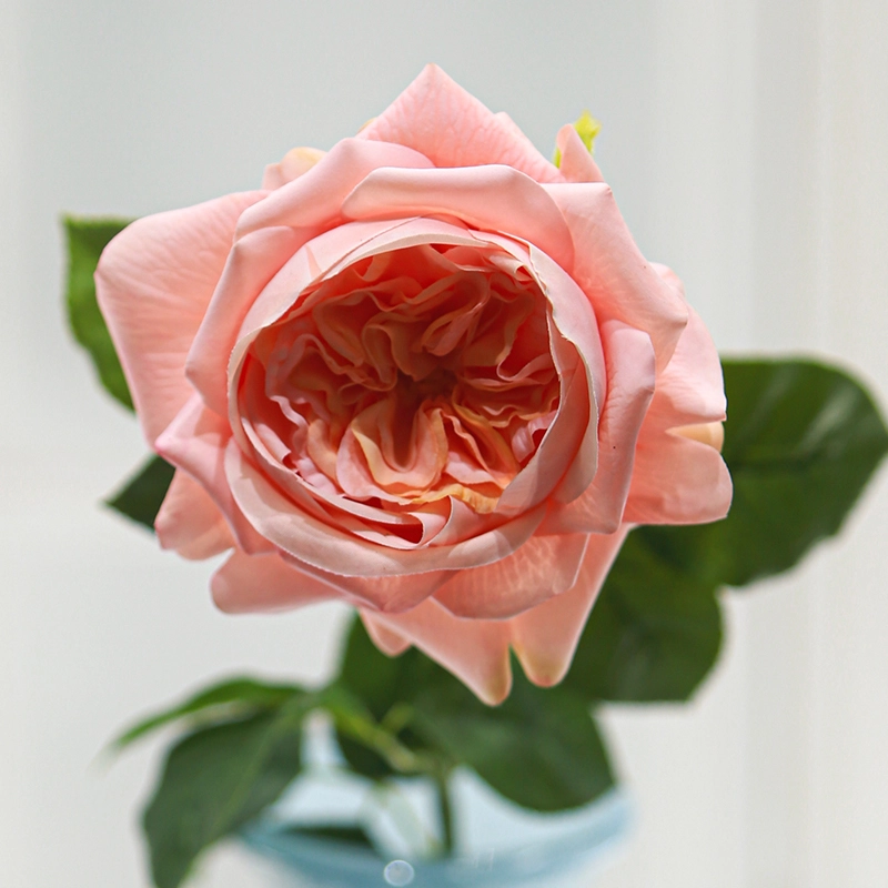 Real Touch Juliet Rose Real Touch Juliet Rose