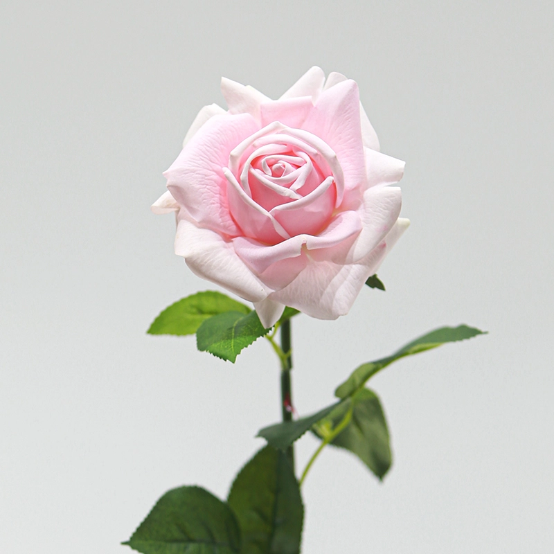 real touch austin rose real touch austin rose