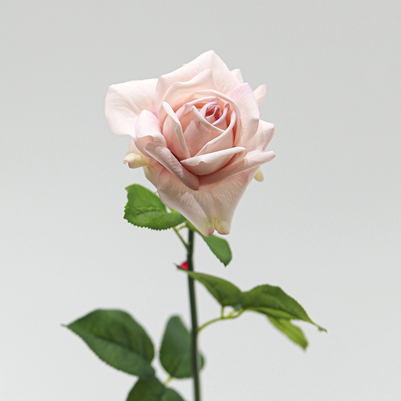 real touch austin rose