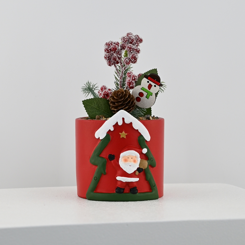 Christmas Mini Forest Potted Plants Christmas Mini Forest Potted Plants