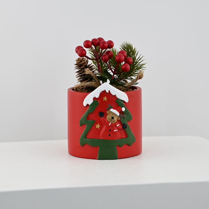 Christmas Mini Forest Potted Plants Christmas Mini Forest Potted Plants