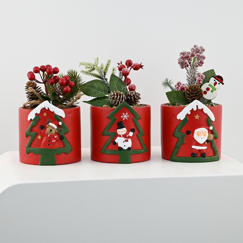 Christmas Mini Forest Potted Plants Christmas Mini Forest Potted Plants