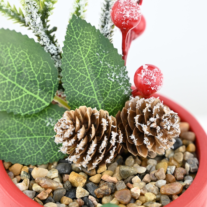 Christmas Mini Forest Potted Plants Christmas Mini Forest Potted Plants