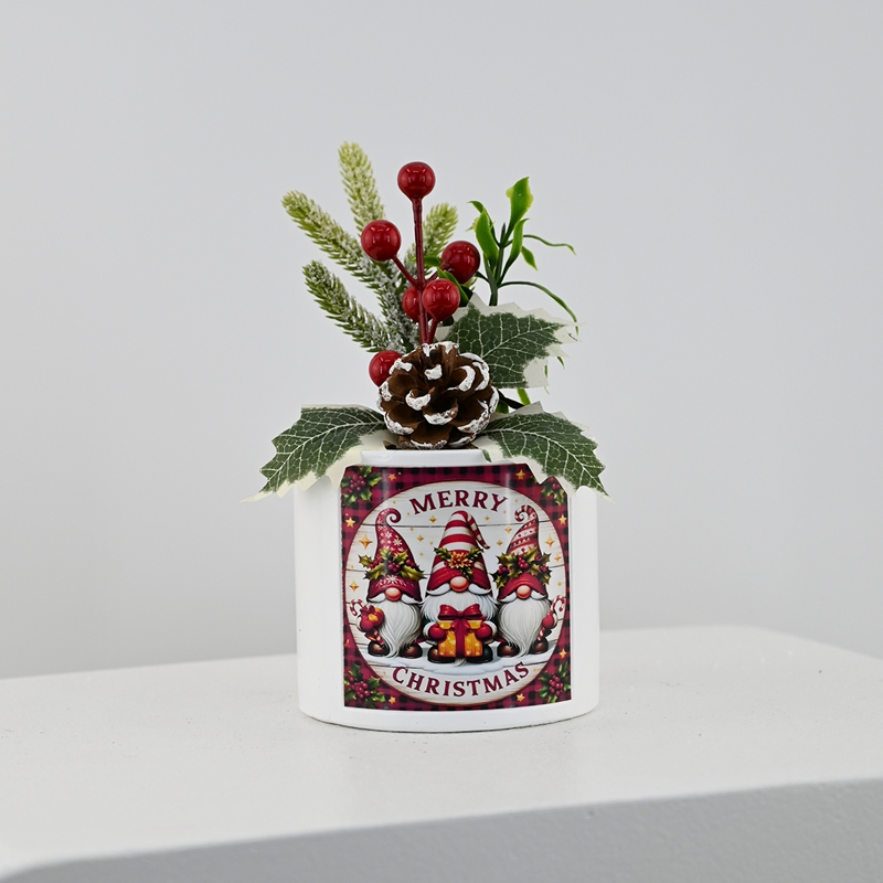 Winter Fortune Berry Potted Plant