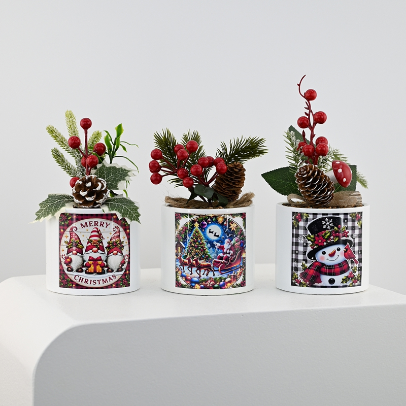 Winter Fortune Berry Potted Plant Winter Fortune Berry Potted Plant
