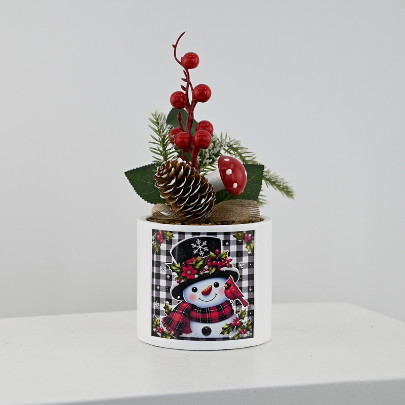 Winter Fortune Berry Potted Plant