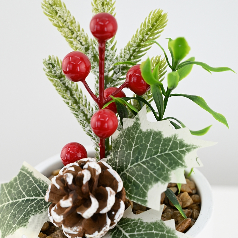 Winter Fortune Berry Potted Plant Winter Fortune Berry Potted Plant