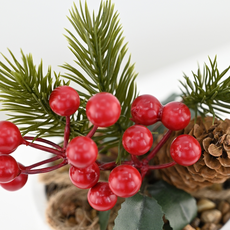 Winter Fortune Berry Potted Plant