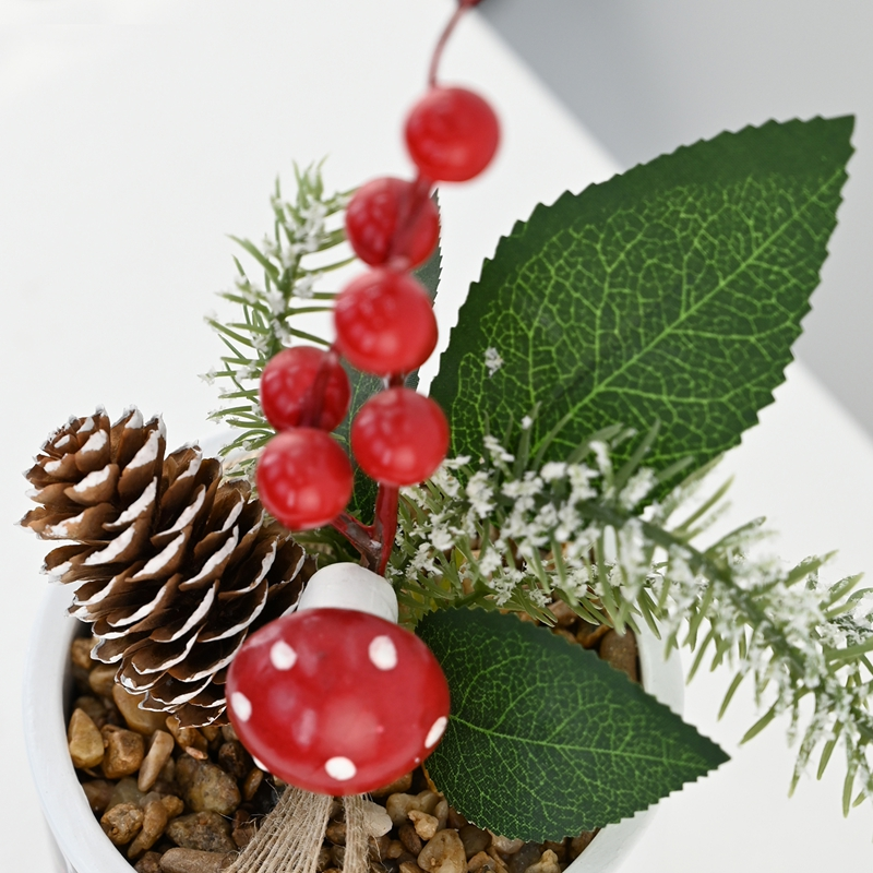 Winter Fortune Berry Potted Plant