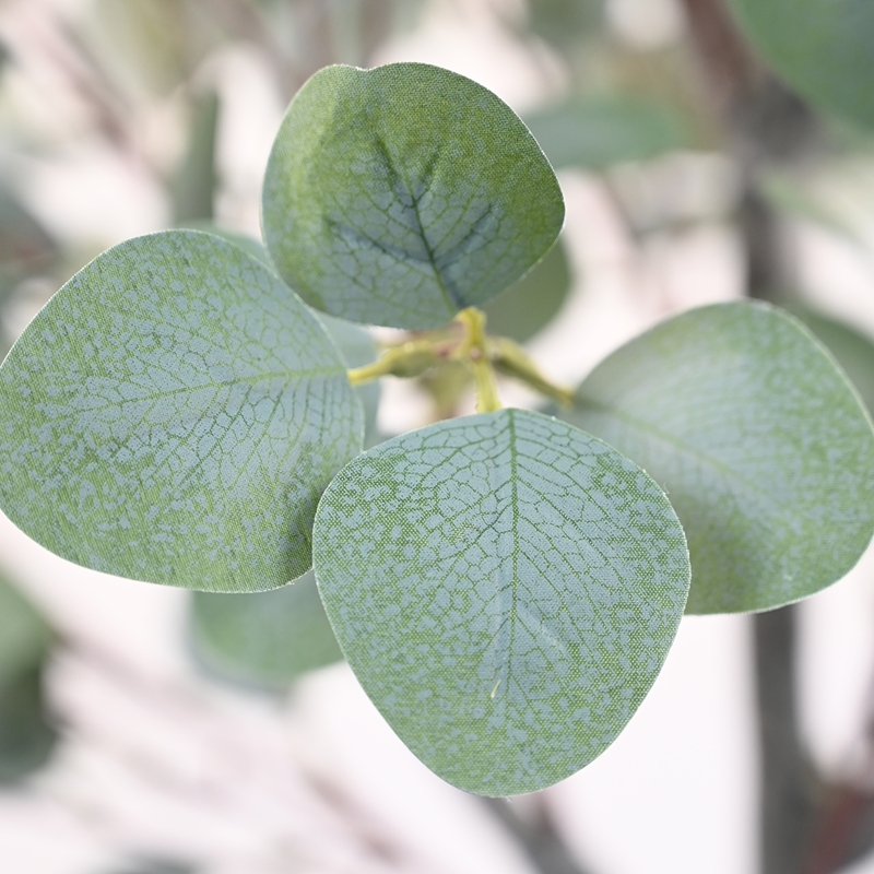 potted faux eucalyptus