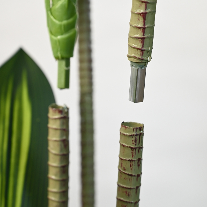Artificial Detachable Green-edged Corn Plant