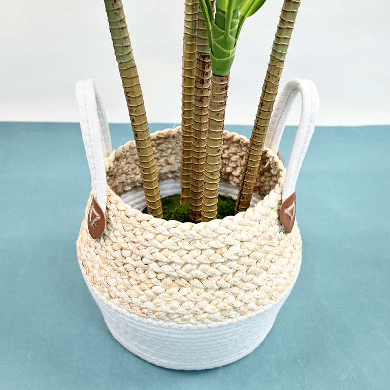 Artificial Detachable Green-edged Corn Plant
