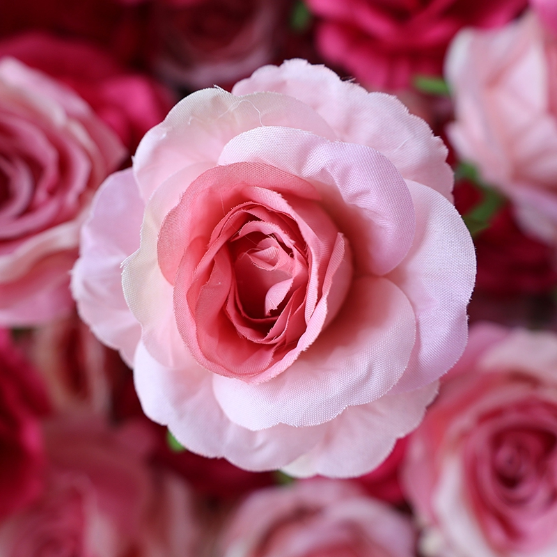Red And White Gradient Artificial Rose Flower Wall Red And White Gradient Artificial Rose Flower Wall