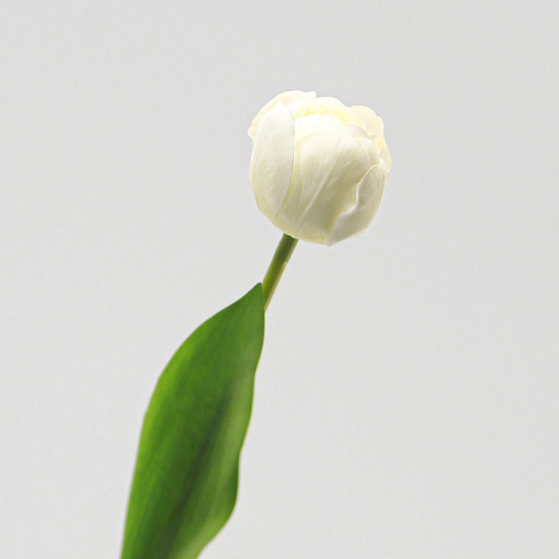 Real Touch Camellia Tulip