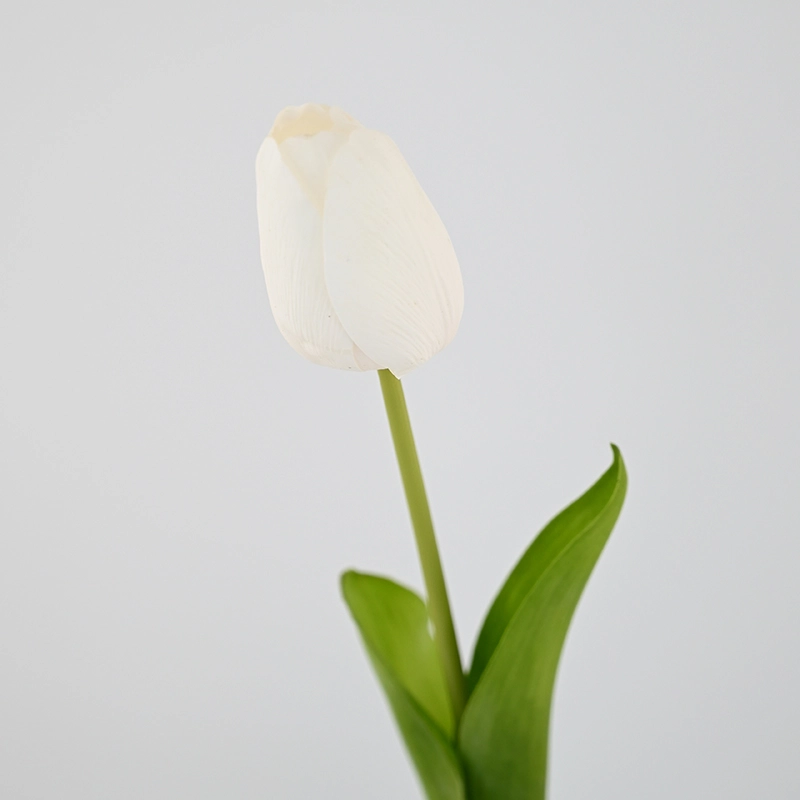 Real Touch Darwin Hybrid Tulip Real Touch Darwin Hybrid Tulip