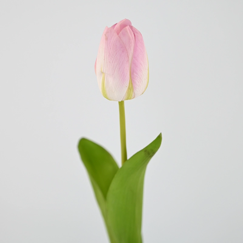 Real Touch Darwin Hybrid Tulip