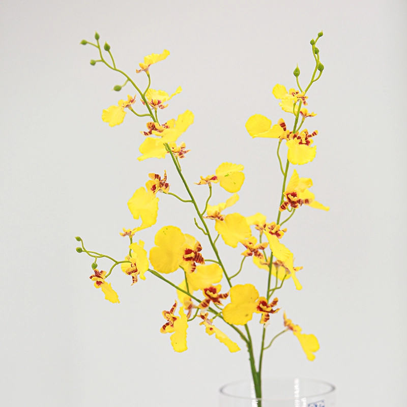 Real Touch Oncidium