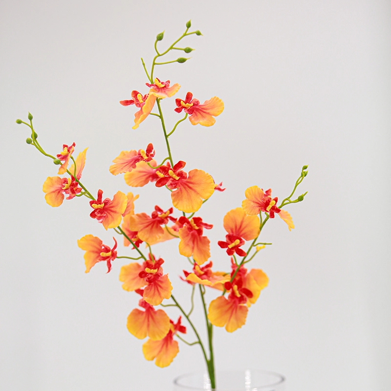 Real Touch Oncidium Real Touch Oncidium