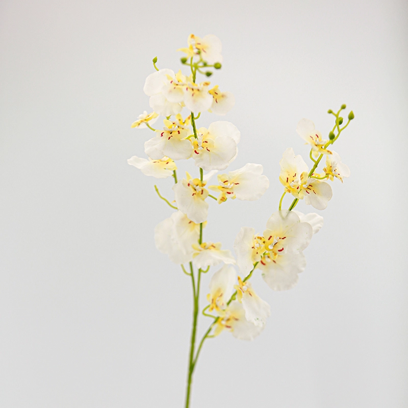 Real Touch Oncidium