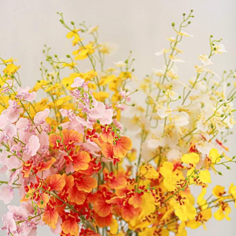Real Touch Oncidium Real Touch Oncidium