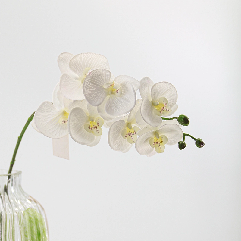 Real Touch Artificial Moth Orchid Real Touch Artificial Moth Orchid