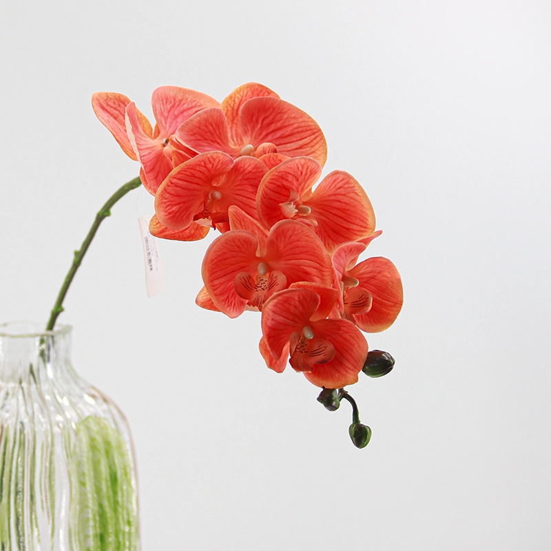 Real Touch Artificial Moth Orchid
