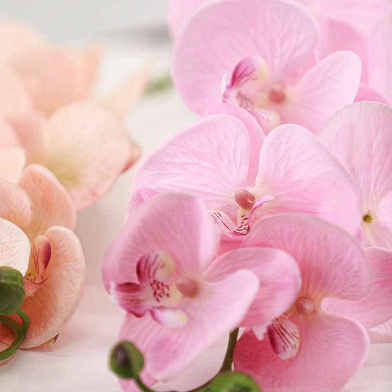 Real Touch Artificial Moth Orchid Real Touch Artificial Moth Orchid