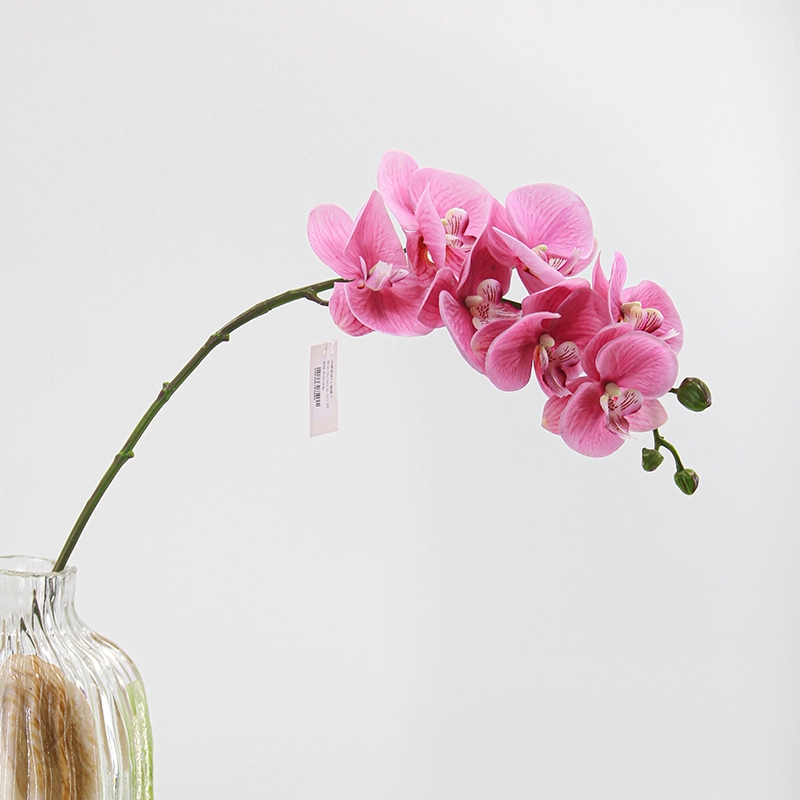 Real Touch Artificial Moth Orchid Real Touch Artificial Moth Orchid