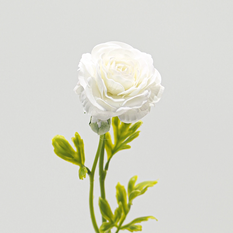Real touch Ranunculus